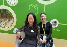 Yang Yang from Jiffy and Junyi from Meteor Systems.